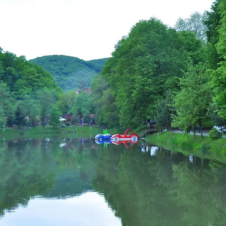 вiлла тераса * Polyana (Transcarpathia)