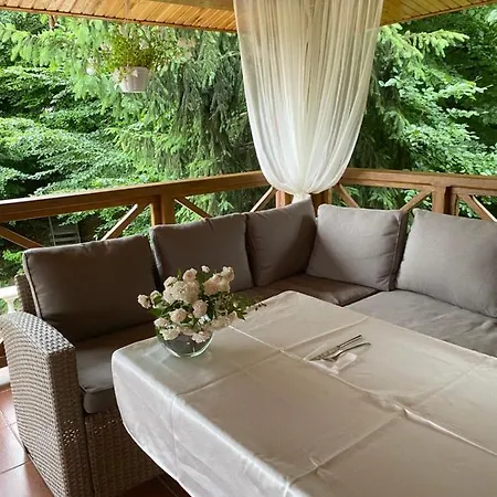 Hotel вiлла тераса Polyana (Transcarpathia)