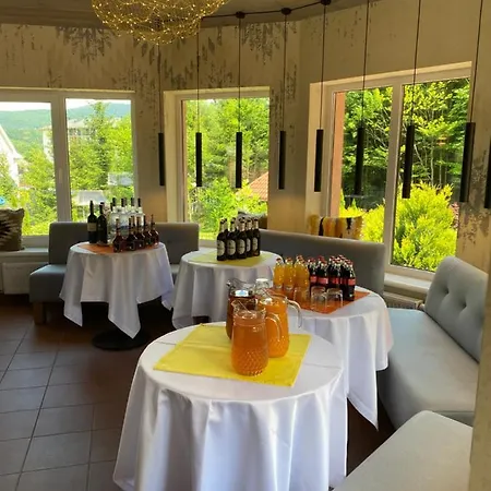 вiлла тераса * Polyana (Transcarpathia)