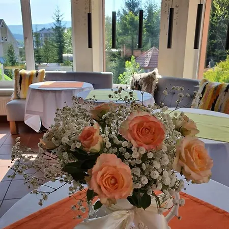 вiлла тераса Polyana (Transcarpathia)