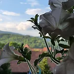 Hotel вiлла тераса *