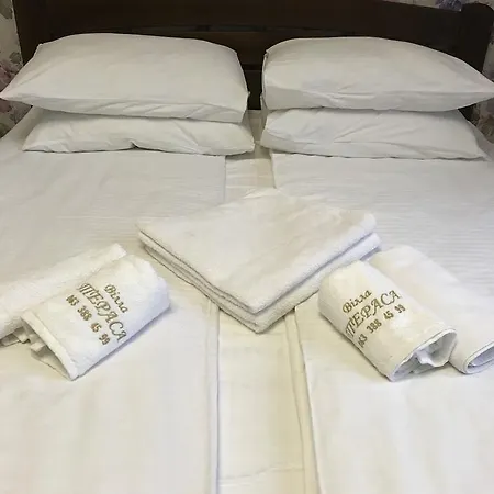 호텔 вiлла тераса *