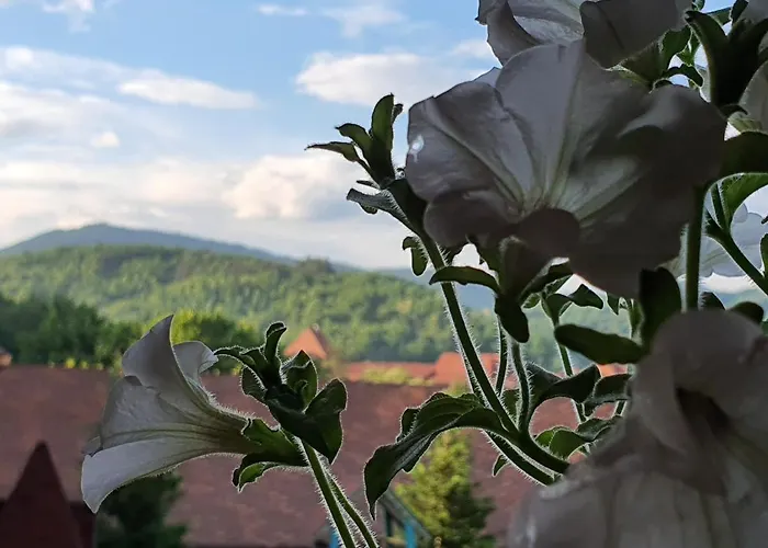 酒店 вiлла тераса *