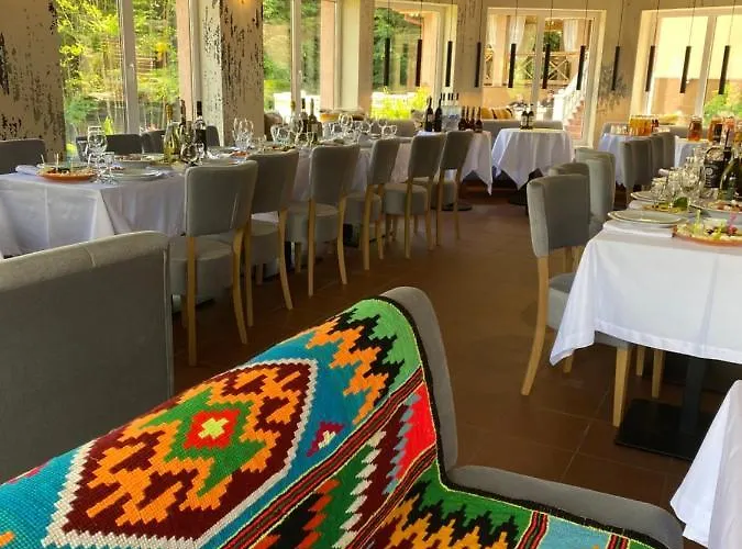 酒店 вiлла тераса