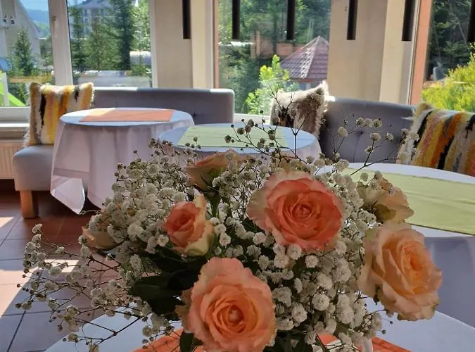 вiлла тераса 波利亚纳